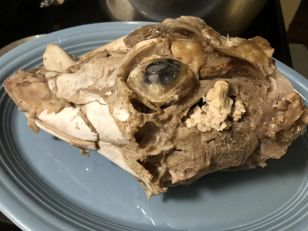 Cooked Sheep's Head